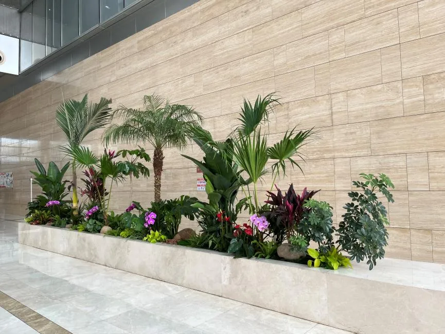 余姚盆景租赁，给生活注入鲜活的绿色气息